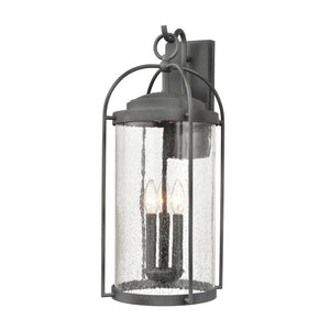Atlas Catalonia 13.5'' High 1-Light Outdoor Sconce - Charming Metal Cage with Soft Seeded Glass Illumination Distressed Zinc 9'' OL11094-GY