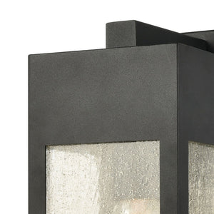 Atlas Angus 20'' High Modern Outdoor Wall Sconce with Heavily Seeded Glass for Warm Ambiance Charcoal 4.75'' OL11284-BK
