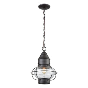 Atlas Onion 10'' Wide 1-Light Outdoor Pendant - Elegant Seeded Glass Globe for Timeless Outdoor Style Oil Rubbed Bronze OL11362-BZ