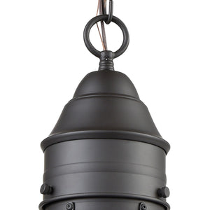 Atlas Onion 10'' Wide 1-Light Outdoor Pendant - Elegant Seeded Glass Globe for Timeless Outdoor Style Oil Rubbed Bronze OL11362-BZ