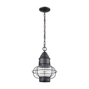 Atlas Onion 10'' Wide 1-Light Outdoor Pendant - Elegant Seeded Glass Globe for Timeless Outdoor Style Oil Rubbed Bronze OL11362-BZ