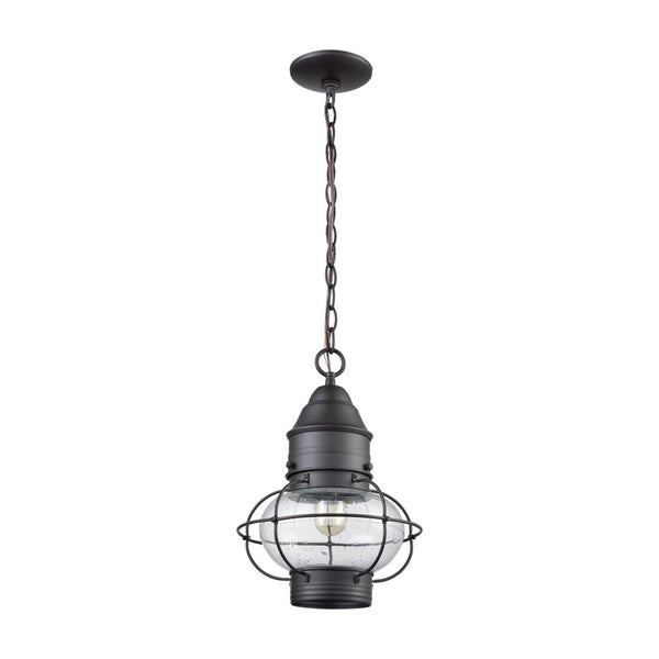 Atlas Onion 10'' Wide 1-Light Outdoor Pendant - Elegant Seeded Glass Globe for Timeless Outdoor Style Oil Rubbed Bronze OL11362-BZ