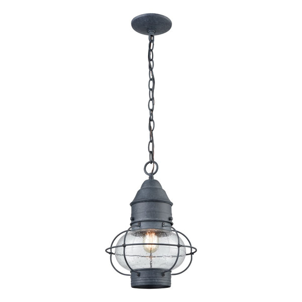 Atlas Onion 10'' Wide 1-Light Outdoor Pendant - Elegant Seeded Glass Globe for Timeless Outdoor Style Aged Zinc OL11362-GY
