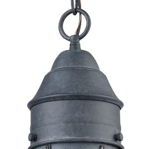 Atlas Onion 10'' Wide 1-Light Outdoor Pendant - Elegant Seeded Glass Globe for Timeless Outdoor Style Aged Zinc OL11362-GY