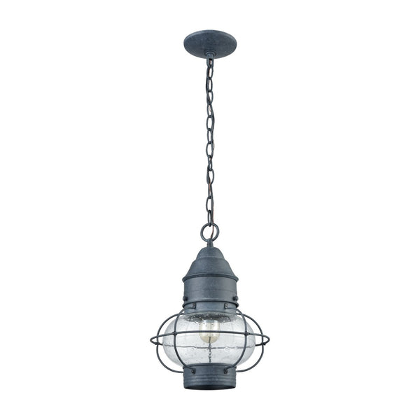 Atlas Onion 10'' Wide 1-Light Outdoor Pendant - Elegant Seeded Glass Globe for Timeless Outdoor Style Aged Zinc OL11362-GY