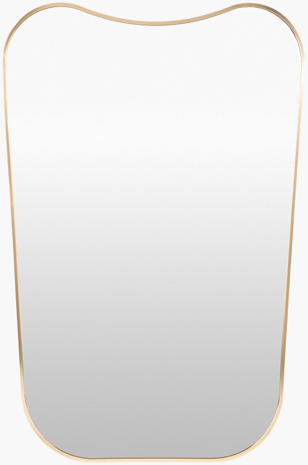 Livabliss Bellona Slim Rectangular Wall Mirror for Entryways Living Rooms and Modern Interiors Gold 36"H x 24"W x 1"D OLO002-3624