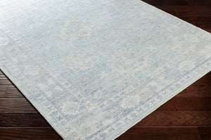 Livabliss Oregon Hand Tufted Wool Blend Accent Rug Traditional Pattern for Entryways and Small Spaces Blue, Sky Blue 2' x 3' ORG2304-23