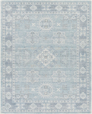 Livabliss Oregon Hand Tufted Wool Blend Accent Rug Traditional Pattern for Entryways and Small Spaces Blue, Sky Blue 8' x 10' ORG2304-810