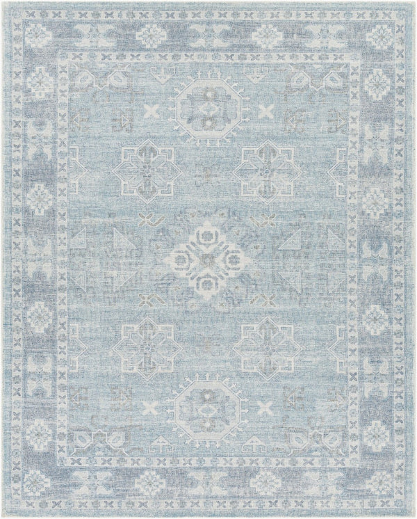 Livabliss Oregon Hand Tufted Wool Blend Accent Rug Traditional Pattern for Entryways and Small Spaces Blue, Sky Blue 8' x 10' ORG2304-810