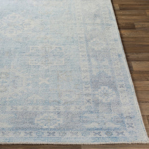 Livabliss Oregon Hand Tufted Wool Blend Accent Rug Traditional Pattern for Entryways and Small Spaces Blue, Sky Blue 2' x 3' ORG2304-23