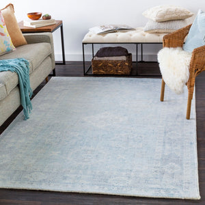 Livabliss Oregon Hand Tufted Wool Blend Accent Rug Traditional Pattern for Entryways and Small Spaces Blue, Sky Blue 2' x 3' ORG2304-23