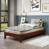 English Elm Steve Silver - Nix - Twin Platform Bed - Natural