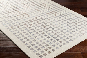 Livabliss Ottawa Hand-tufted Recycled Wool Accent Rug for Entryway or Layered Scandinavian Decor Beige, Gray 2' x 3' OTW2300-23