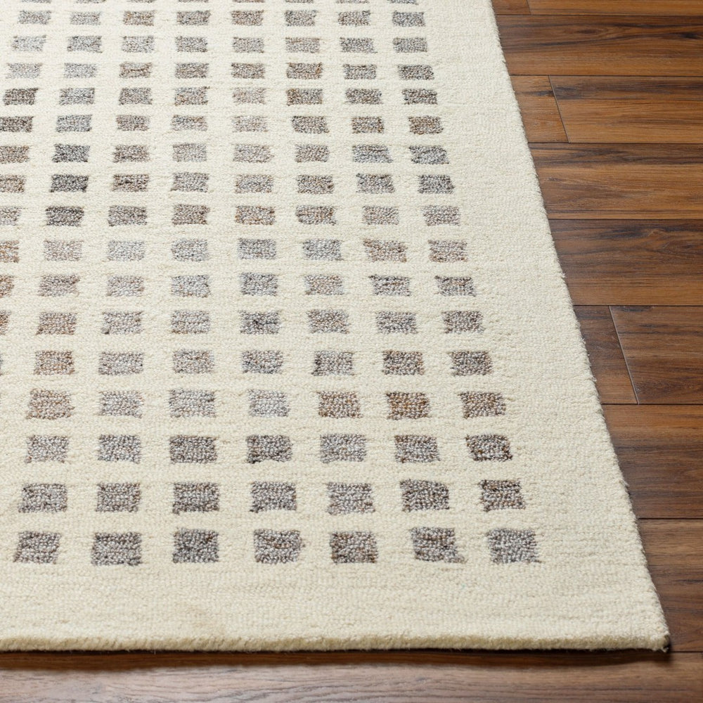 Livabliss Ottawa Hand-tufted Recycled Wool Accent Rug for Entryway or Layered Scandinavian Decor Beige, Gray 2' x 3' OTW2300-23
