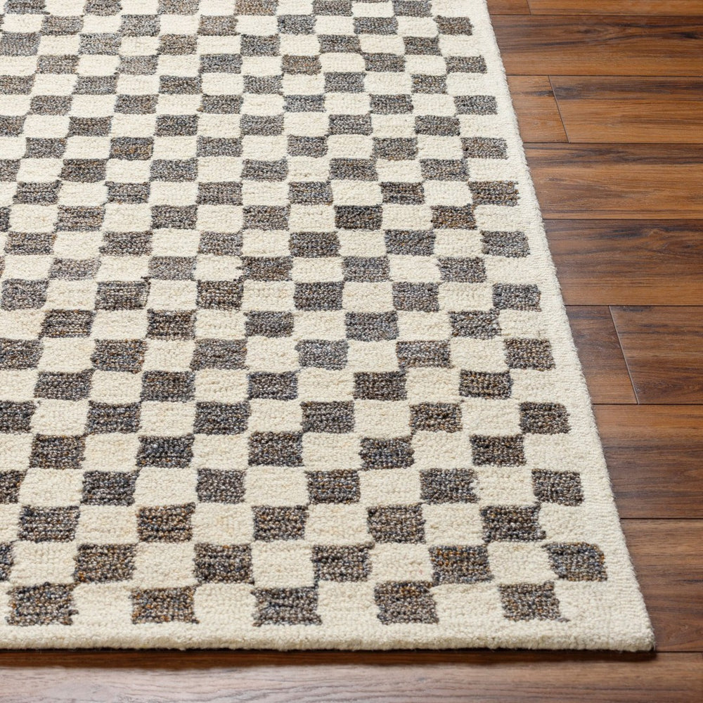 Livabliss Ottawa Hand Tufted Wool Blend Area Rug Eco Friendly Medium Pile Entryway Accent Beige, Dark Bro 9' x 12' OTW2301-912
