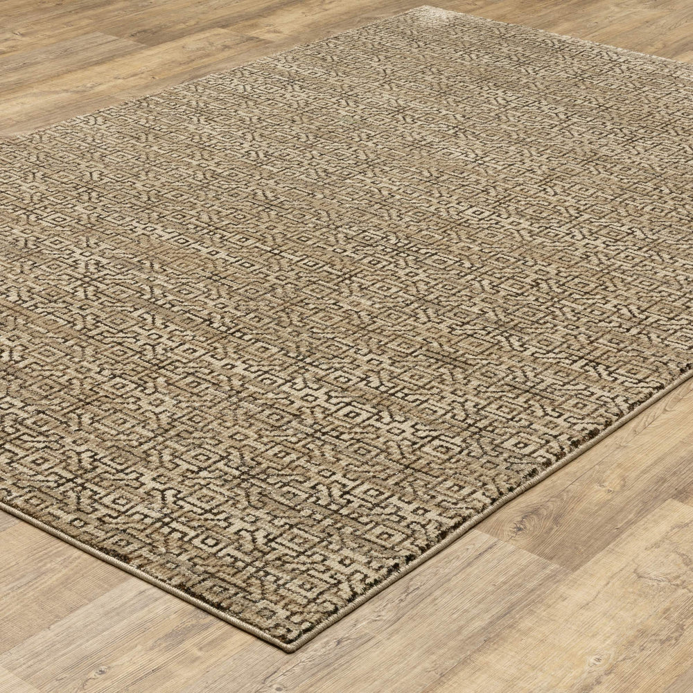Oriental Weavers Atlas Geometric Maze Indoor Area Rug Nylon Blend Woven for Living Room Decor Accent 6'7" x 9'6" A3721S200300ST