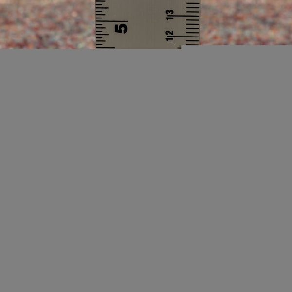 Oriental Weavers Axis Indoor Area Rug - Soft High-pile Texture With Trendy Tassel Fringe And Vibrant Global Style Multi,Colored Polypropylene Aax01a116165st