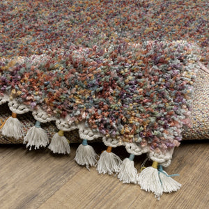 Oriental Weavers Axis Indoor Area Rug - Soft High-pile Texture With Trendy Tassel Fringe And Vibrant Global Style Multi,Colored Polypropylene Aax01a116165st