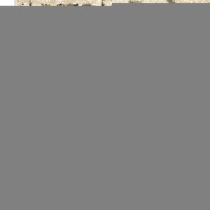 Oriental Weavers Carson Indoor Area Rug – Soft, Textured High-pile Design With Modern Patterns In Muted Colors Beige,Grey Polypropylene C0748f068230st