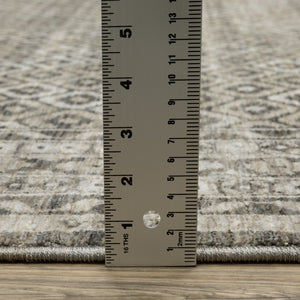 Oriental Weavers Chamberlain Indoor Area Rug - Luxurious Soft Polyester, Vintage Persian Motifs, And Elegant Design Grey,Beige Polyester Cch03b160235st