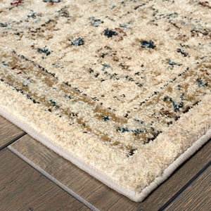 Oriental Weavers Empire Indoor Area Rug - Luxurious Textured Yarn With Distressed Traditional Styling In Jewel Tones Ivory,Gold Polypropylene E114w4068230st