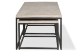 Parker House Crossings Monaco Rectangular Nesting Cocktail Table Weathered Blanc Solid Mango MON#01