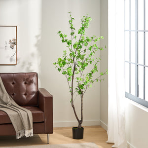 English Elm 180cm Faux Enkianthus Indoor Tree Realistic Disc Leaf Branches Zero Maintenance 74335.00
