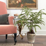 Large Flat Fern, Potted EBQ26108 Park Hill