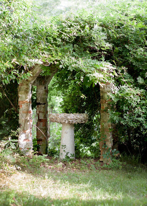 Oyster Shell Bird Bath - Whimsical Outdoor Art Piece Crafted from Natural Materials for Your Garden
