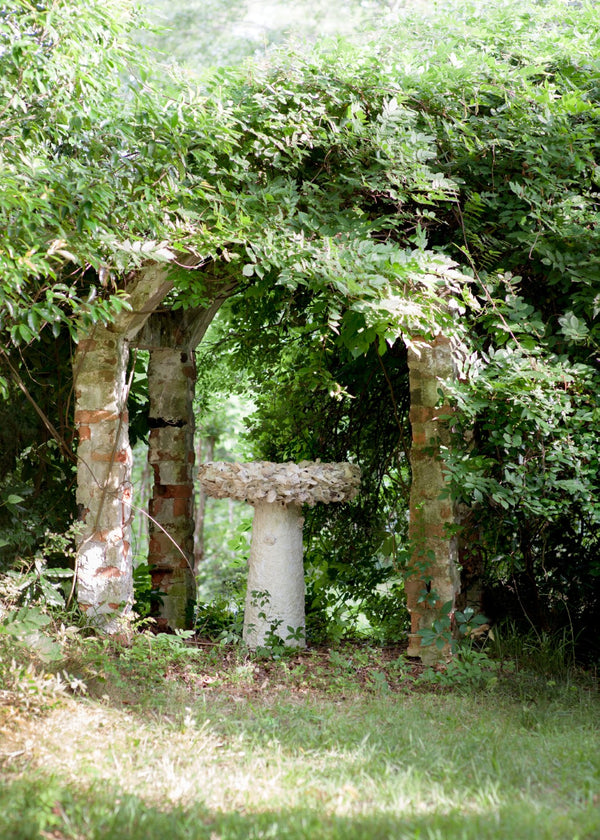 Oyster Shell Bird Bath - Whimsical Outdoor Art Piece Crafted from Natural Materials for Your Garden