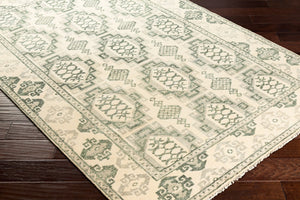 Surya Palais Hand-knotted 10' X 14' Wool Rug - Handmade Luxury With Intricate Design & Fringe Detail Sage Wool Pal2303-23