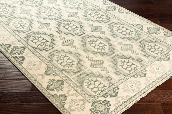 Surya Palais Hand-knotted 10' X 14' Wool Rug - Handmade Luxury With Intricate Design & Fringe Detail Sage Wool Pal2303-23