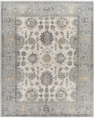 Palais PAL-2305 8'10" x 12' Handmade Rug PAL2305-81012  Medium Gray, Ivory, Tan, Charcoal Surya