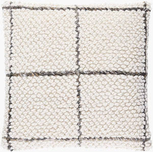 Surya Pane Eco-friendly 18"X18" Modern Accent Pillow – Stylish, Sustainable, Outdoor Safe & Easy Care Off,White Recycled Pet Yarn,Polyester Pan001-2222d