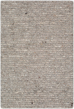 Livabliss Passion Collection Hand Tufted Wool Area Rug for Living Room or Dining Space Taupe, Sandston 9' x 12' PAN2300-912