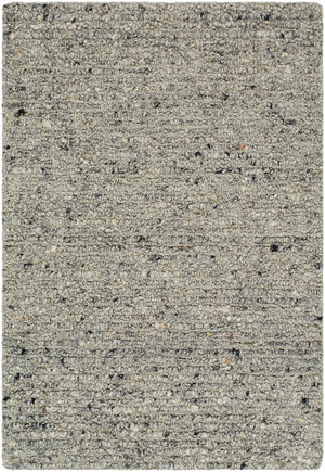 Passion PAN-2304 9' x 12' Handmade Rug PAN2304-912  Sage, Metallic - Silver, Grey, Ash, Nickel Surya