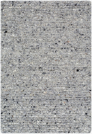 Livabliss Passion Hand-tufted Wool Area Rug for Living Dining or Bedroom Anchor Decor Charcoal, Stone 2' x 3' PAN2304-23