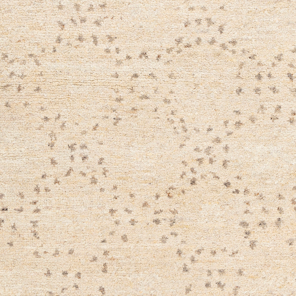 Surya Pampa Hand-knotted 2' X 3' Modern Wool & Polyester Rug - Soft, Durable, Stylish Home Décor Piece Cream Wool,Polyester Pap1000-23