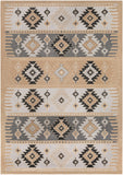 Paramount PAR-1045 7'10" x 11'2" Machine Woven Rug PAR1045-79112 Livabliss Surya