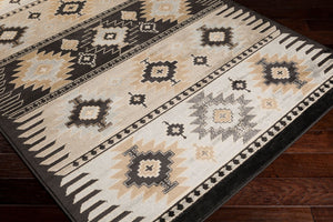 Livabliss Paramount Southwestern Geometric Runner Rug Polypropylene Warm Earth Tones Hallway Gray, Charcoal 8'10" x 12'10" PAR1046-810129