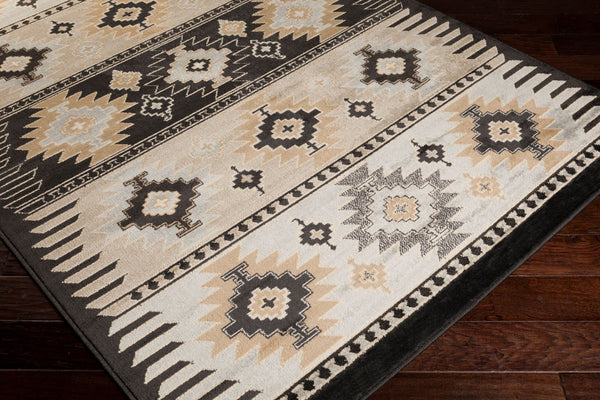 Livabliss Paramount Southwestern Geometric Runner Rug Polypropylene Warm Earth Tones Hallway Gray, Charcoal 8'10" x 12'10" PAR1046-810129