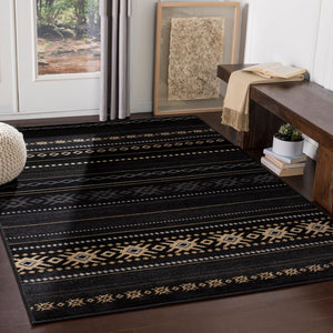 Livabliss Paramount Modern Rustic Polypropylene Runner Rug for Hallways and Entryways Black, Charcoal 8'10" x 12'10" PAR1047-810129