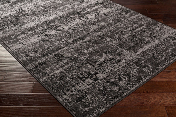 Livabliss Paramount Traditional Accent Rug Polypropylene Machine Woven for Entryway or Bath PAR1060-23