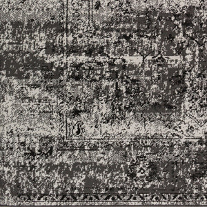 Livabliss Paramount Traditional Accent Rug Polypropylene Machine Woven for Entryway or Bath PAR1060-23