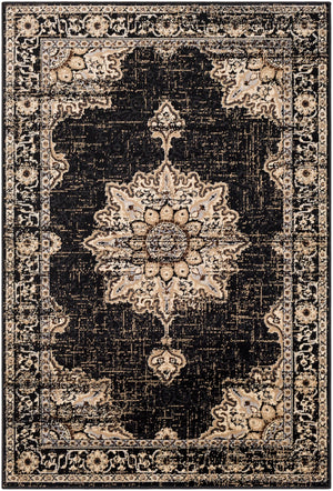 Paramount PAR-1089 6'7" x 9'6" Machine Woven Rug PAR1089-6796 Livabliss Surya