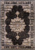 Paramount PAR-1089 7'10" x 11'2" Machine Woven Rug PAR1089-79112 Livabliss Surya