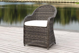 Safavieh Newton Wicker Arm Chair With Cushion Grey/Beige PAT2509A