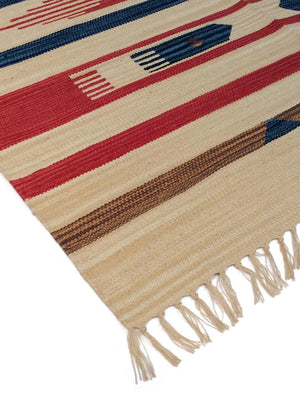 Pasargad Handmade Anatolian Collection Flat Weave Cotton Area Rug - Elegant Charm For Any Room   Pbb-04 9x12