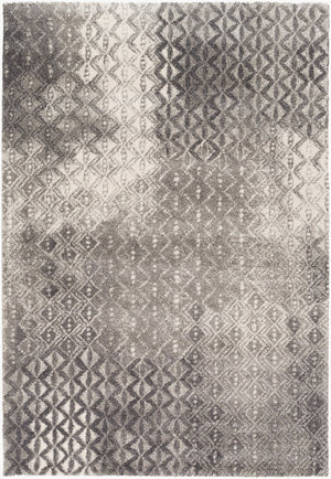 Livabliss Pembridge Belgian High Pile Polypropylene Accent Rug Mid Century Modern Entryway Decor Charcoal, Ivory 2' x 3'7" PBG1001-236
