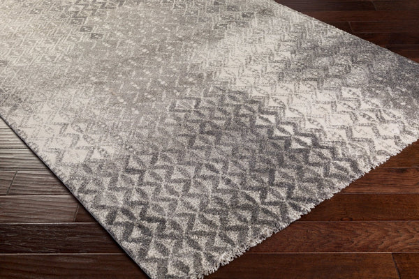 Livabliss Pembridge Belgian High Pile Polypropylene Accent Rug Mid Century Modern Entryway Decor Charcoal, Ivory 2' x 3'7" PBG1001-236